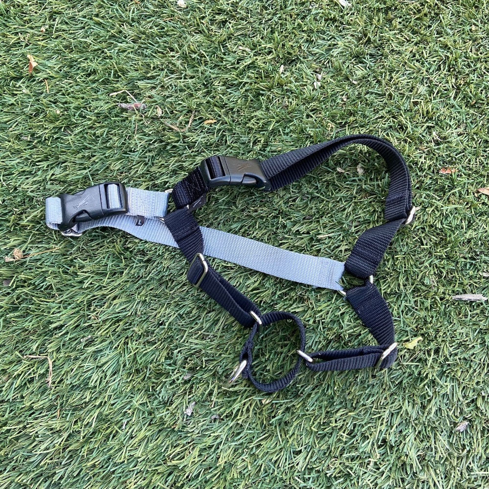 PetSafe EasyWalk No-Pull Harness, L